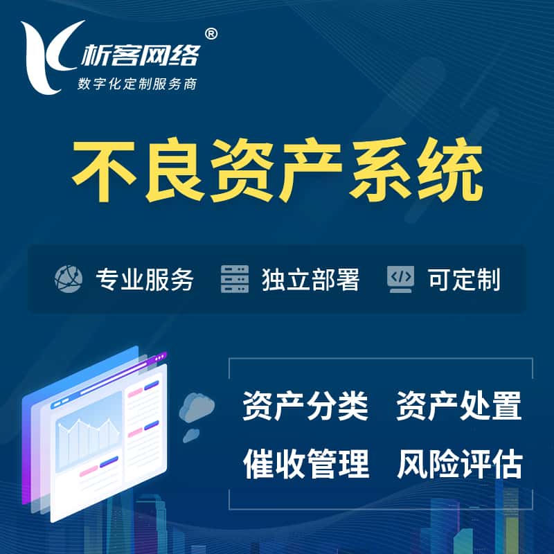 江苏不良资产管理系统