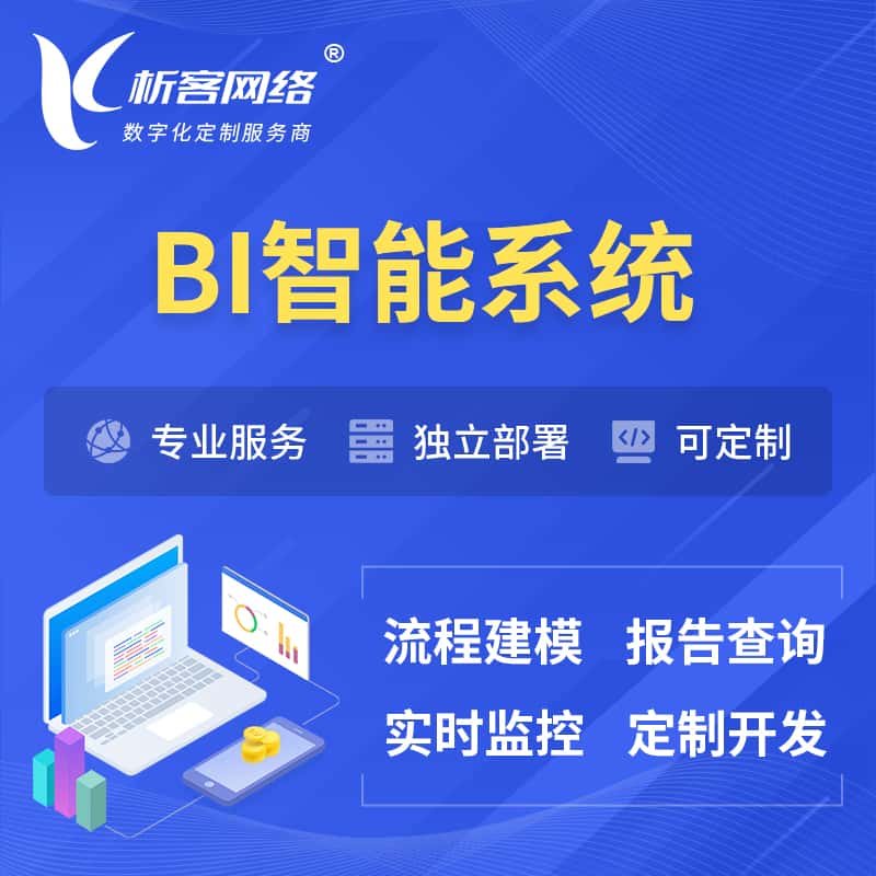 江苏BI智能系统 | BI数据可视化